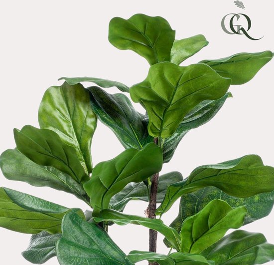 Gros plan détaillé de grandes feuilles vertes brillantes d'une plante artificielle ficus lyrata. Logo Green Boutiq.