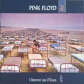 A Momentary Lapse Of Reason