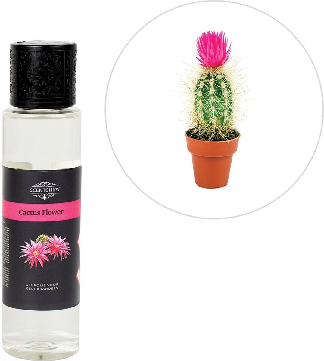 Scentchips® Cactusbloem - Geurolie Voor Aromadiffuser - Geurolie Voor Oliebrander - Etherische Olie - Essentiele Olie - Etherische Olien - 200ml