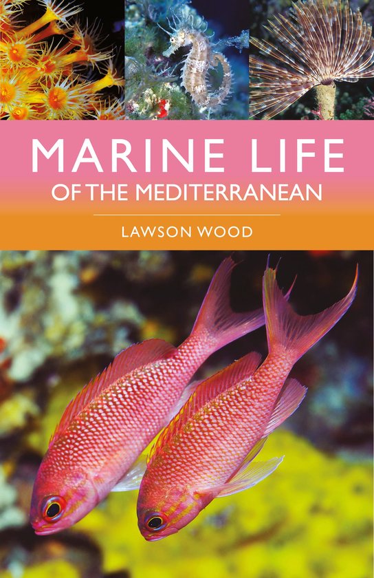 Foto: Marine life of the mediterranean