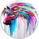 Paard wandcirkels - Dieren schilderij rond - Schilderij Strepen - Wanddecoratie kinderkamer - Wandbord - Wanddecoratie muurcirkel aluminium 50x50 cm