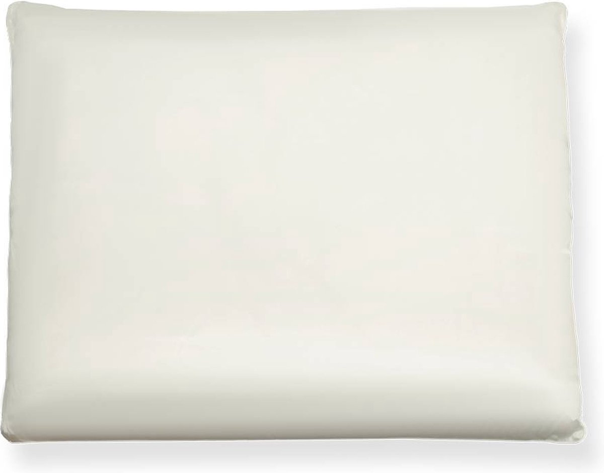 Zijden hoofdkussen Muze - 100% moerbeizijde - zijden tijk - Silk Heaven - 50x70cm