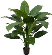 Designplants Spathiphyllum King Kunstplant 100