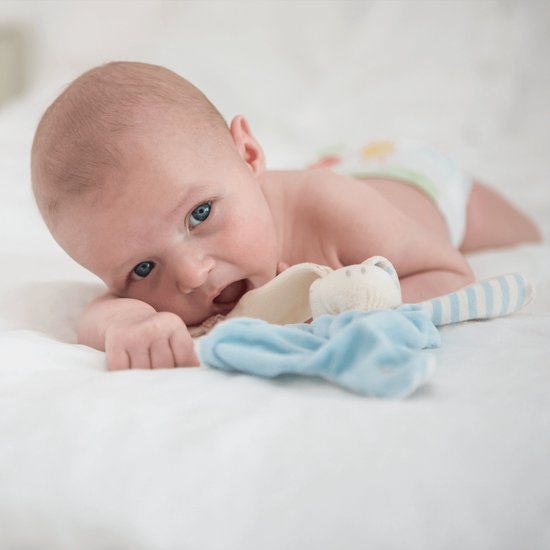 Little Toddel knuffel - Kraamcadeau - Zacht Baby Knuffel - Lichtblauw - Knuffeldoekje - Knuffelzacht - 05.03.2 van Merkloos — afbeelding 3