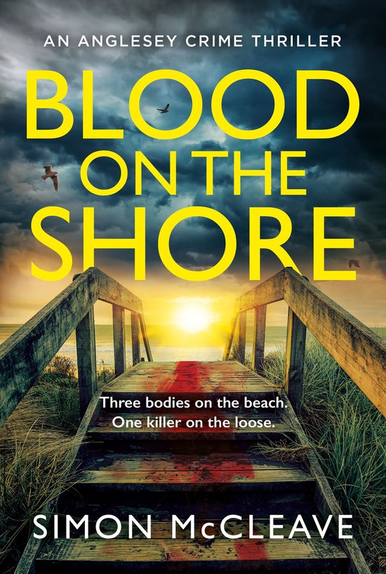 The Anglesey Series 3 - Blood on the Shore - cover