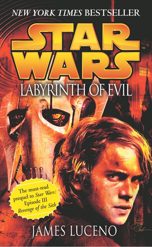 Star Wars Labyrinth Of Evil - cover