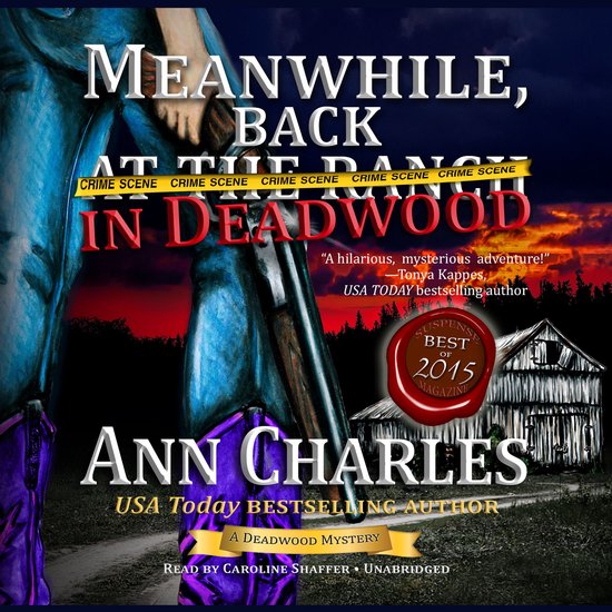 Meanwhile, Back in Deadwood - cover