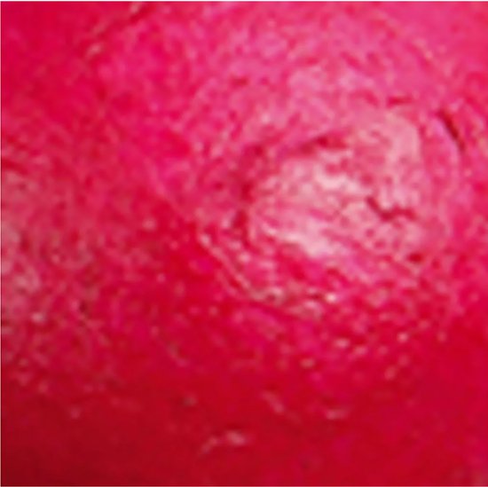 Foto: 