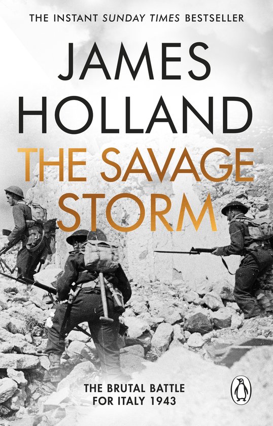 The Savage Storm - cover