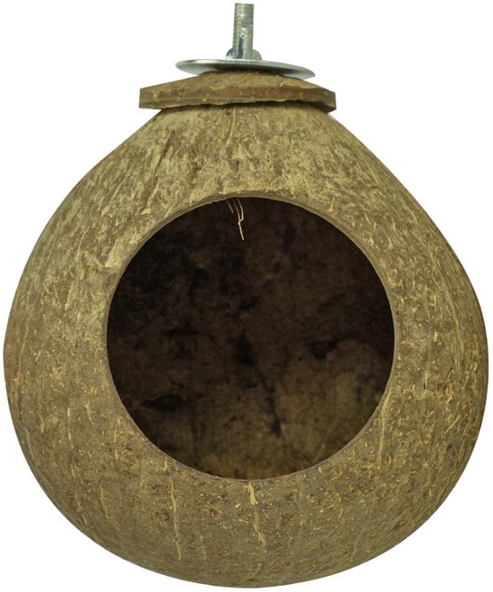 Back Zoo Nature Coconut House