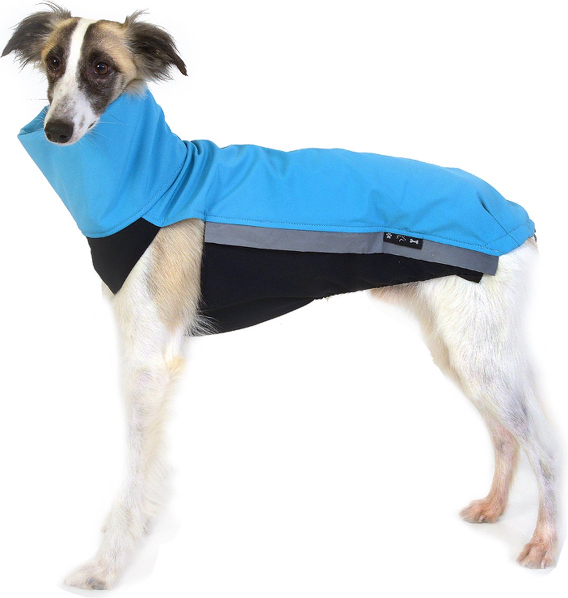 Hondenjas van Softshell - Aqua - Softshell body - Windhonden - Whippet - Rapid Dog Wear - Maat XS