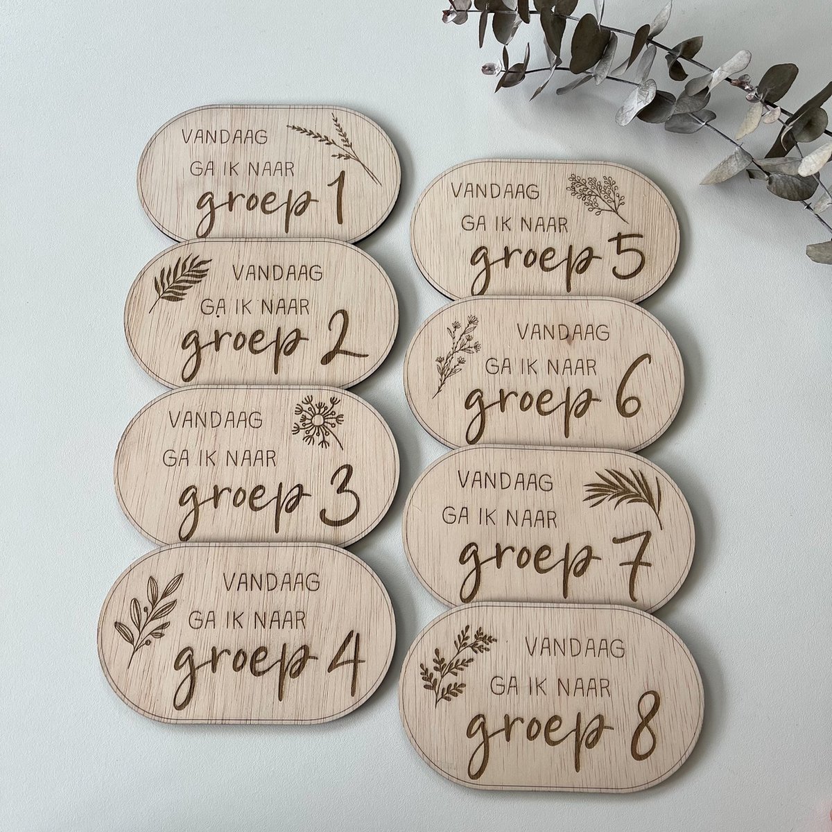 Goedkoopste Mijlpalenkaartjes basisschool