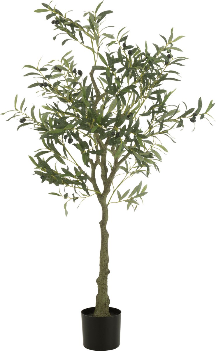 J-Line olijfboom in pot - kunststof - groen - small