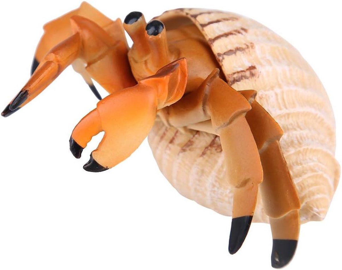Content - Diermodel Speelgoed - Heremietkreeft Model - Hoge Simulatie - Veilig Voor Kinderen .