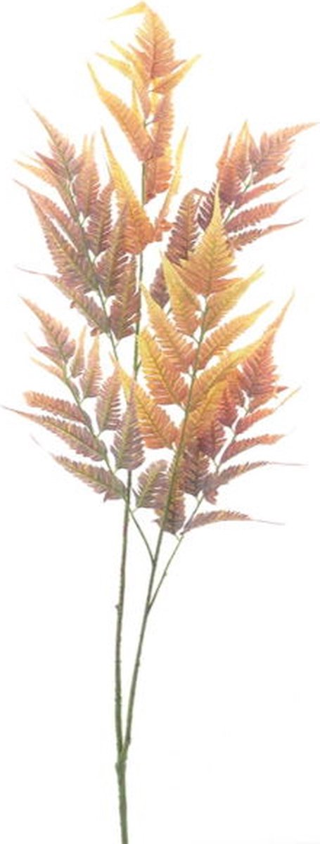 Hortus Kunsttak leather fern orange, 120 cm Hortus onbekend