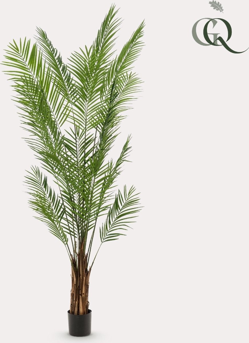 Kunstplanten - Areca Lutescens - Goudpalm - 240cm