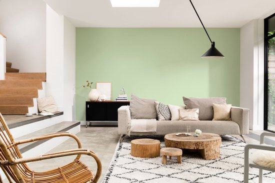 Levis EasyClean - Mur Mat Mix - Vert Clair C20 - 1L