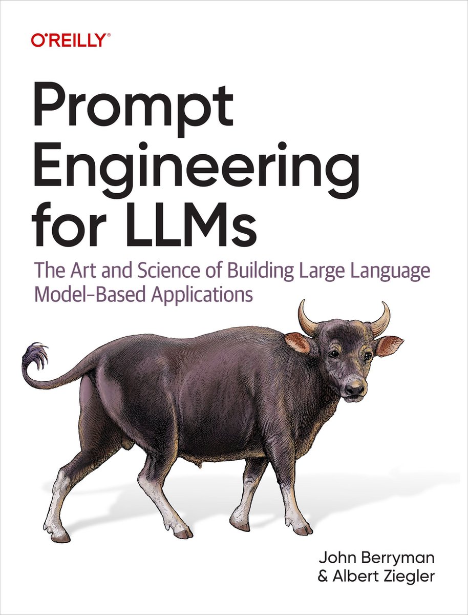 Omslag van Prompt Engineering for LLMs