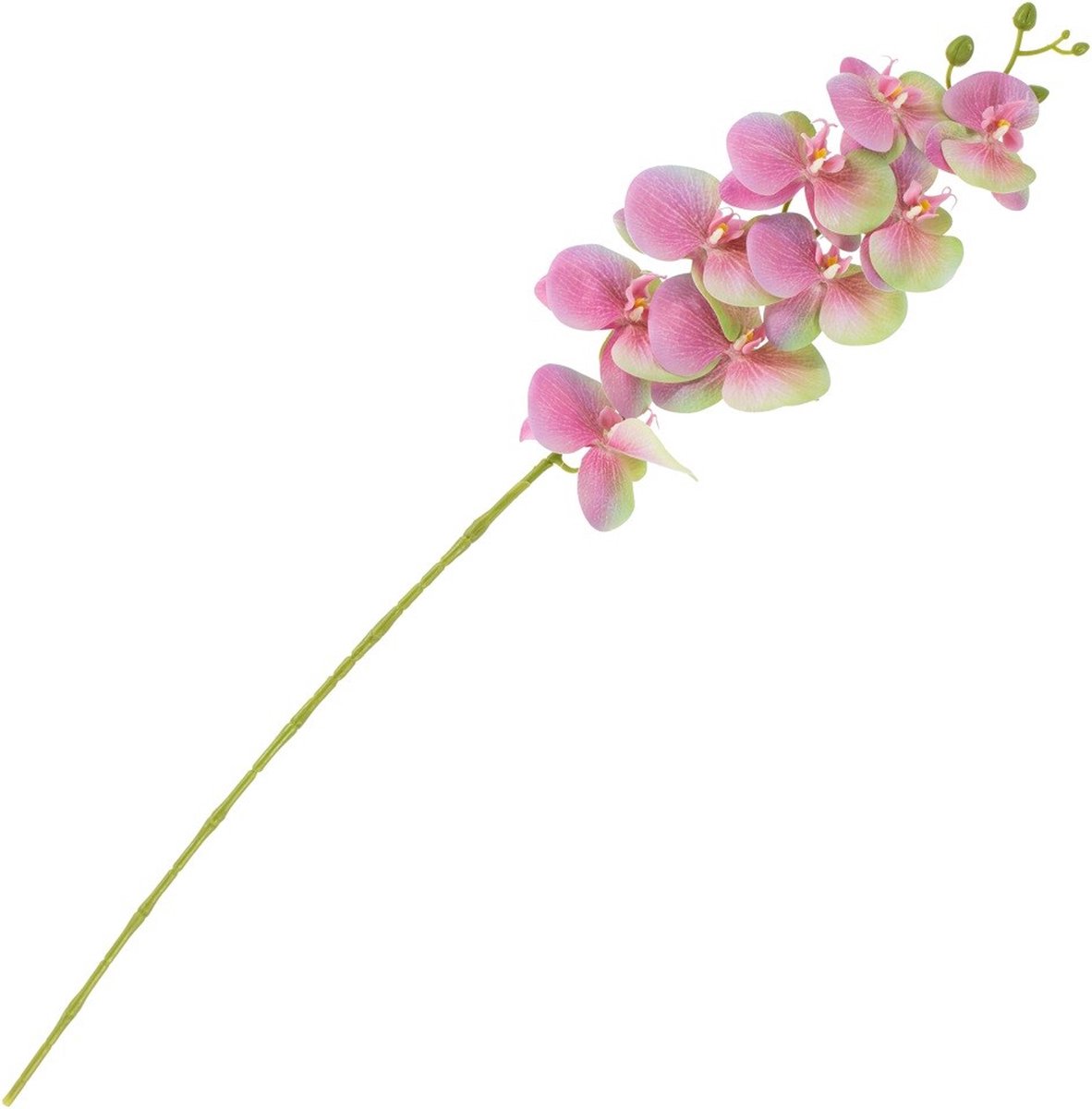 homebound by ky Kunstbloem Orchidee Roze | kunstplant