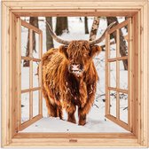 Poster 30x30 cm - Highlander écossais - Hiver - Paysage - Nature - Animaux - Vue - Posters - Décoration chambre - Décoration murale salon - Décoration murale chambre