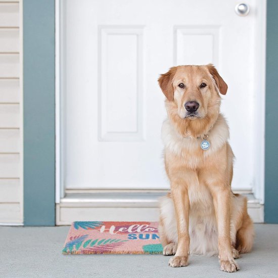 Kleurrijke Kokos Deurmat met Zomerse Print - 40x60 cm Antislip Schoonloopmat voor Binnen en Buiten
