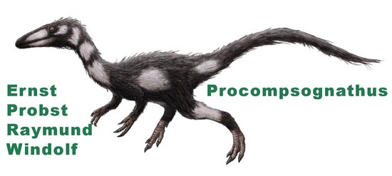 Procompsognathus - cover