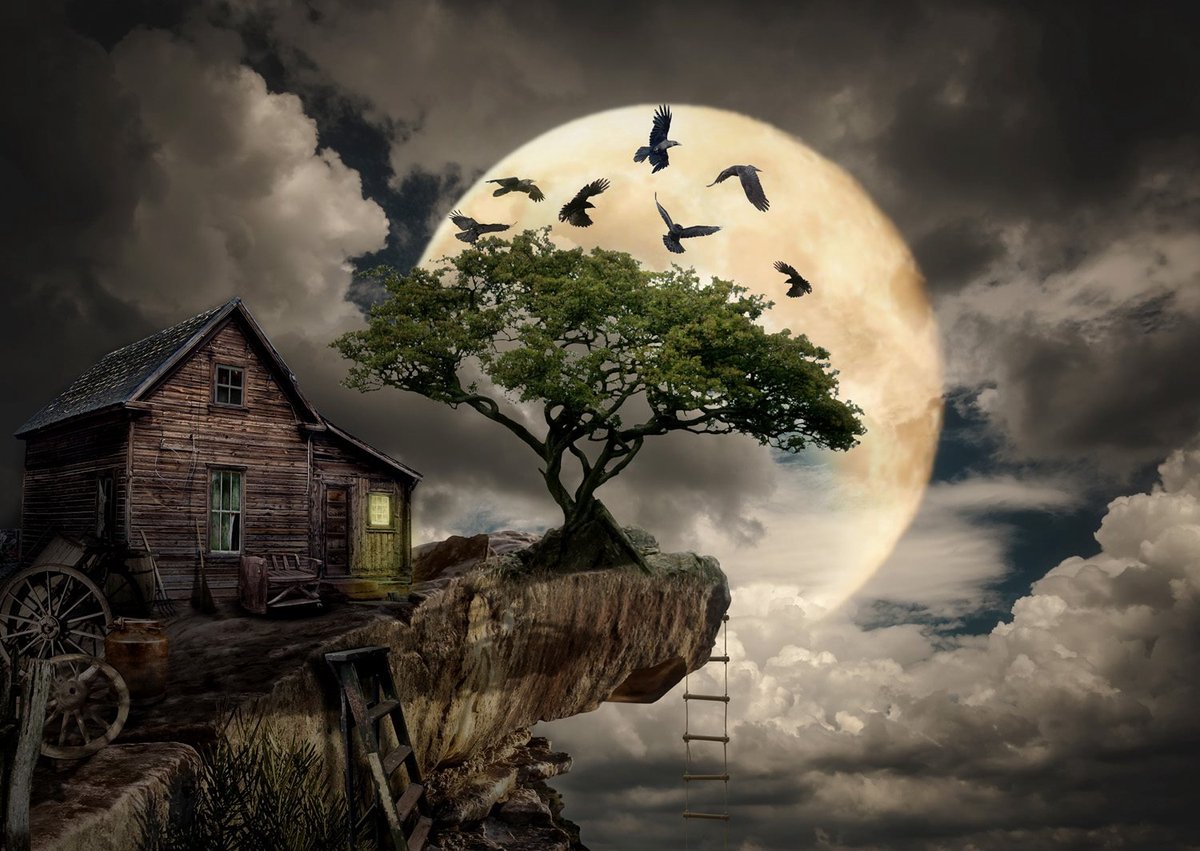 A Log Cabin on a Cliff Puzzel 1000 Stukjes