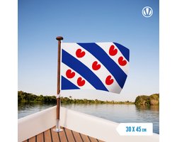 Friese vlag 30x45cm