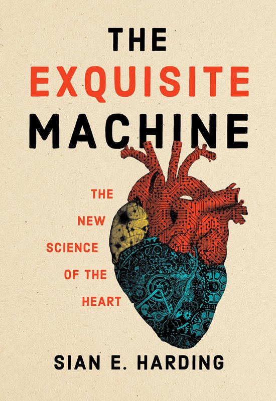 The Exquisite Machine - cover