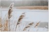 Plus, Hiver