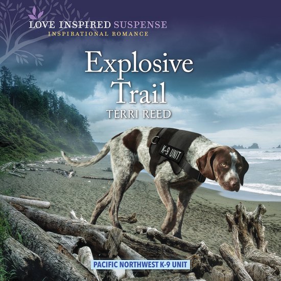 Explosive Trail - cover