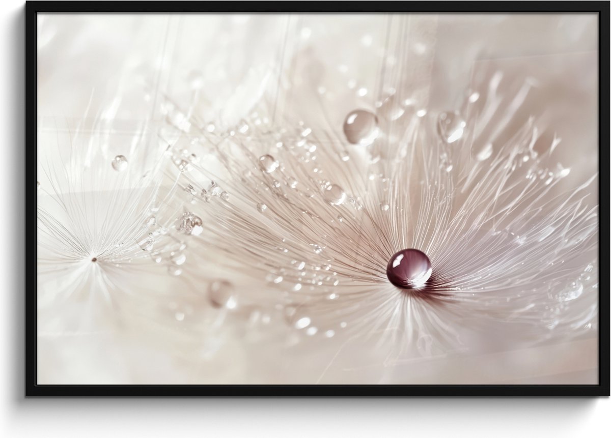 FrameYourWall Poster in lijst - Fotolijst 120x80 cm - Posters - Bloem - Abstract - Wit - Water - Natuur - Posterlijst zwart - Decoratie - Wanddecoratie woonkamer - Muurdecoratie slaapkamer Paardenbloem - Abstract