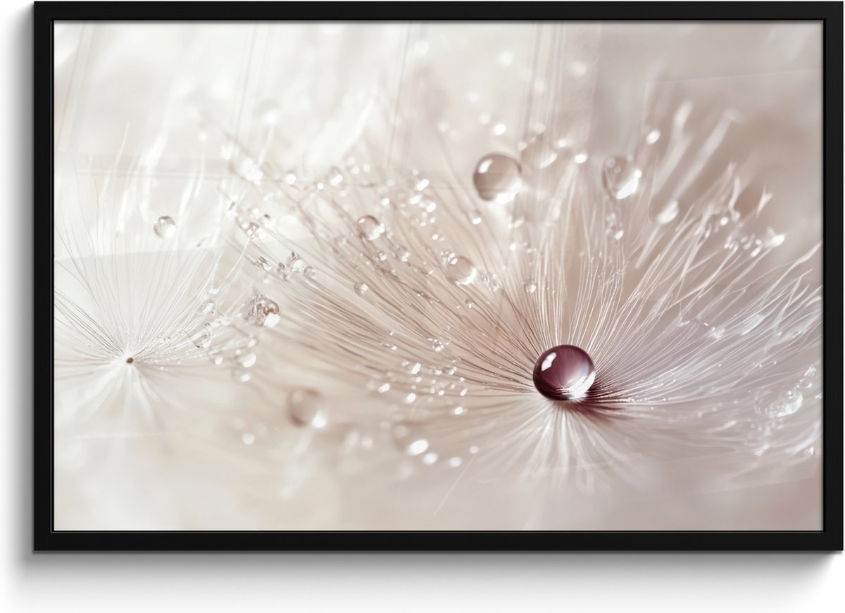 FrameYourWall Poster in lijst - Fotolijst 90x60 cm - Posters - Bloem - Abstract - Wit - Water - Natuur - Posterlijst zwart - Decoratie - Wanddecoratie woonkamer - Muurdecoratie slaapkamer Paardenbloem - Abstract