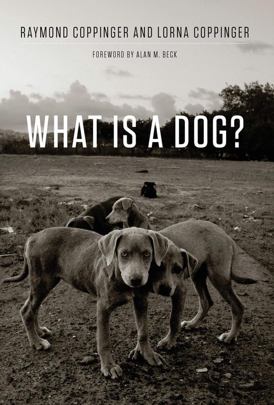 What Is a Dog? - cover