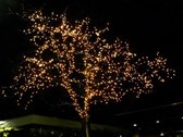 70 meter kerstverlichting voor binnen & buiten - Warm Wit 700 LED's - waterdicht