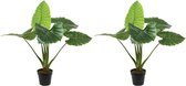 2x Groene Colocasia/taro kunstplanten 90 cm in zwarte pot - Kunstplanten/nepplanten