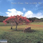 Music from the Invisible Sky