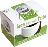 Buzzy Mortar Pesto Bio Basilic