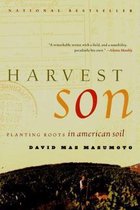 Harvest Son