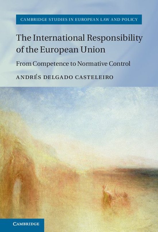 Cambridge Studies in European Law and Policy - The Internati ... - cover