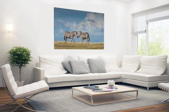 Poster photo Zèbres amoureux 90x60 cm - Tirage photo sur Poster (décoration murale salon / chambre) / Poster Animaux