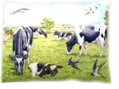 Sierkussen koe koeien thema dieren cadeaus kado koeien liefhebber