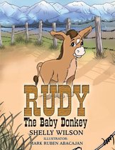 Rudy the Baby Donkey