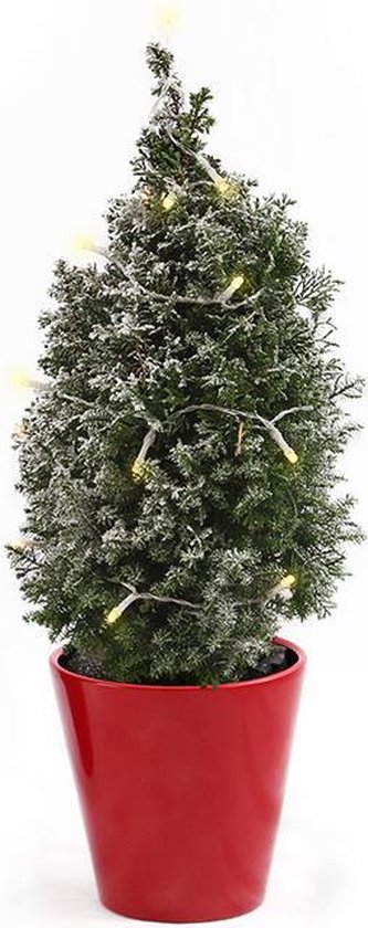 Praten Uiterlijk rietje Kerstboom op pot | bol.com