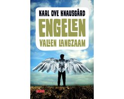 Omslag van Engelen vallen langzaam