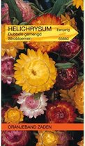 Oranjebandzaden -  Helichrysum, Strobloem dubbelbloemig gemengd