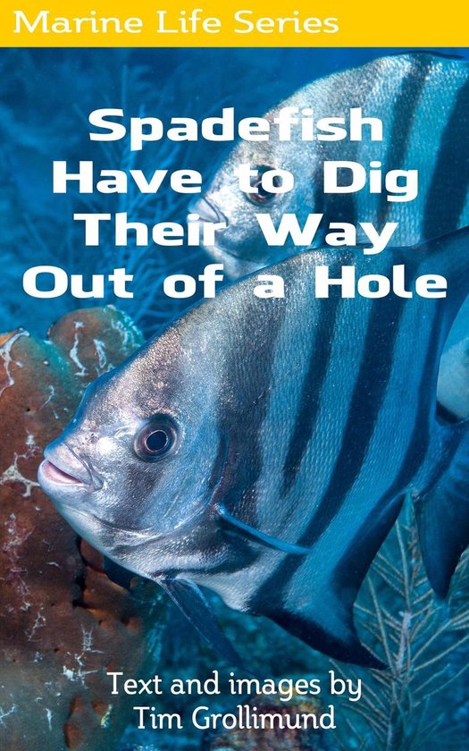 Spadefish Have to Dig Their Way Out of a Hole - cover