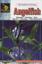 The Guide to Owning Angelfish