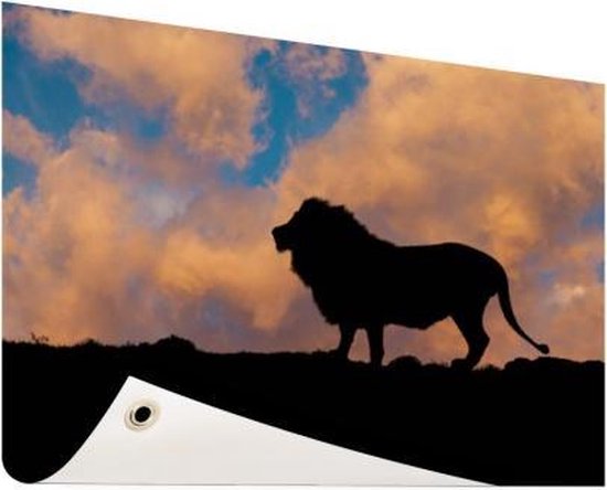 Bol Com Silhouet Leeuw Zonsondergang Tuinposter 0x100 Cm Foto Print Op Poster