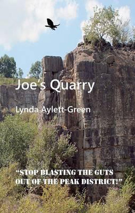 Joe's Quarry, Lynda AylettGreen 9781909813113 Boeken